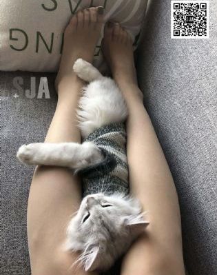 欧美成人黄片视频_BD免费在线播放